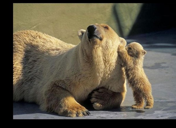 ours