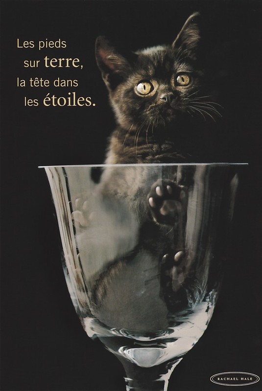 chat