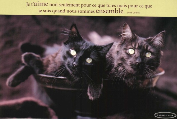 chat