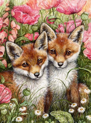 renard